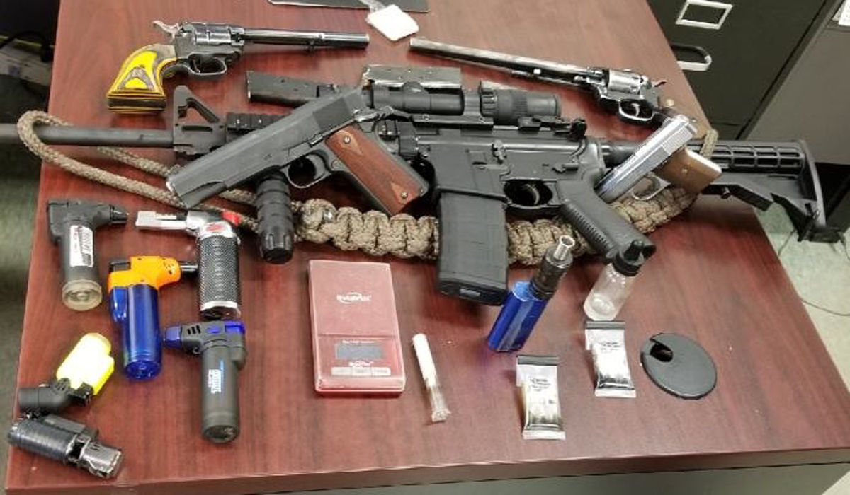 Drugs, Guns Seized